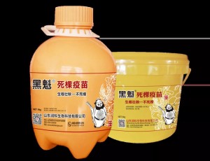 死棵疫苗能处理蔬菜死棵现象吗