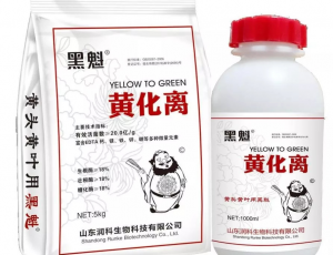 黄化离厂家分享植物黄头黄叶的原因