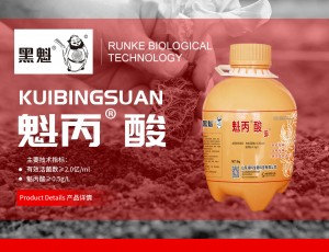 魁丙酸的使用解决了蔬菜的死棵问题