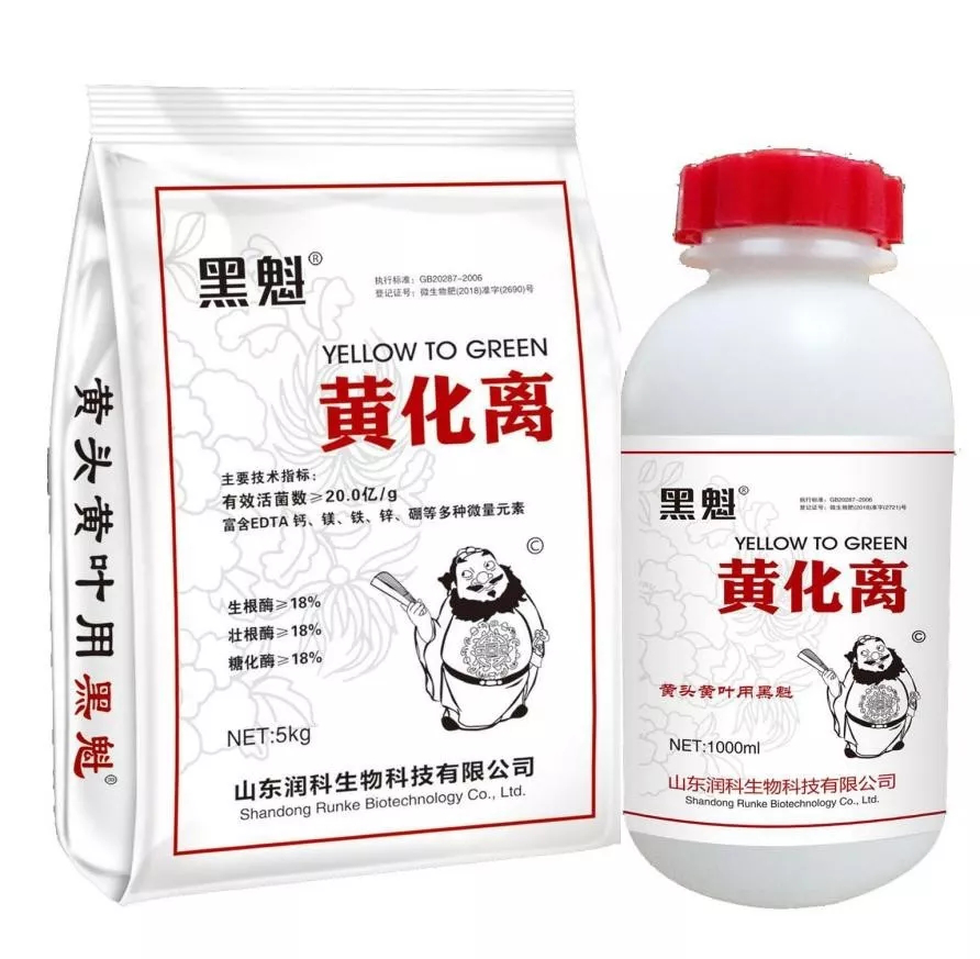 黄化离.png