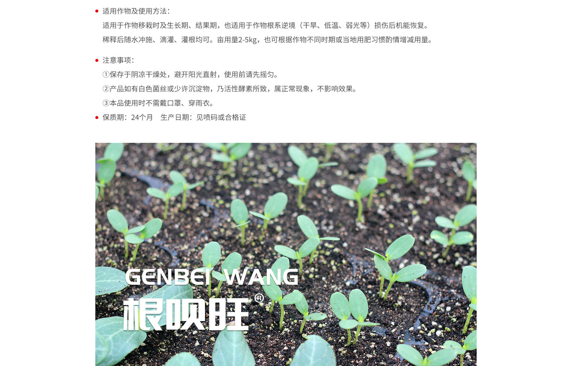 根呗旺1_03.jpg