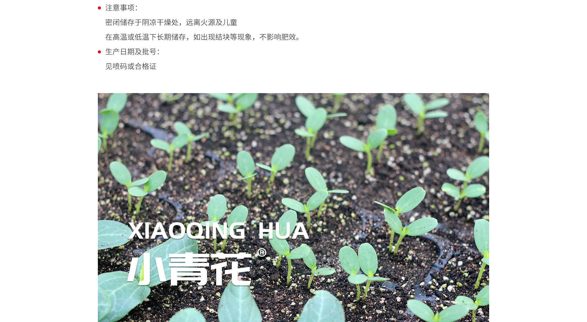 小青花1_03.jpg