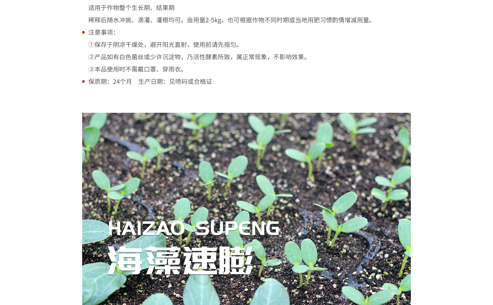海藻速膨1_03.jpg